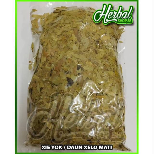 

Daun Jati Cina 1 kg / Xie Yek / Selomaki