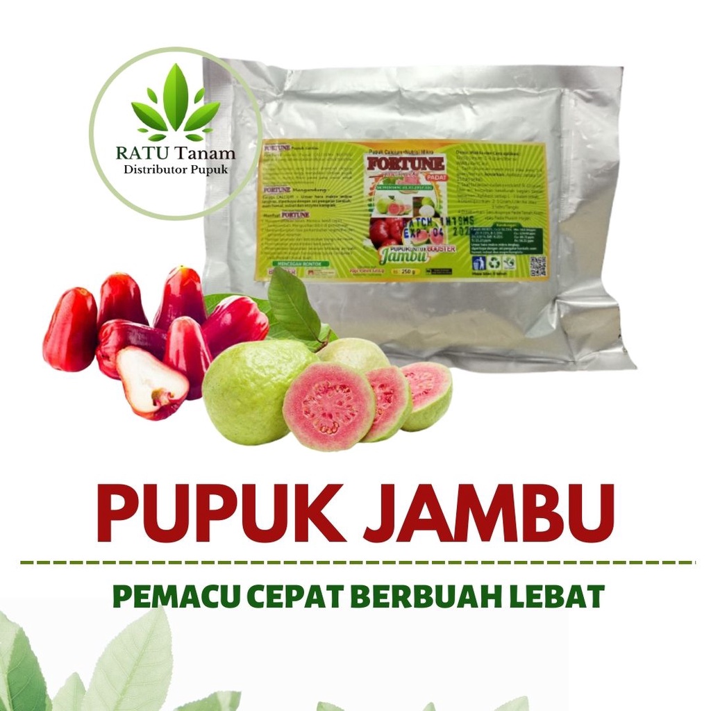 Pupuk Jambu Air, Pupuk Booster Jambu Kristal, Pupuk Jambu Cepat Berbuah, Pupuk Buah Terbaik