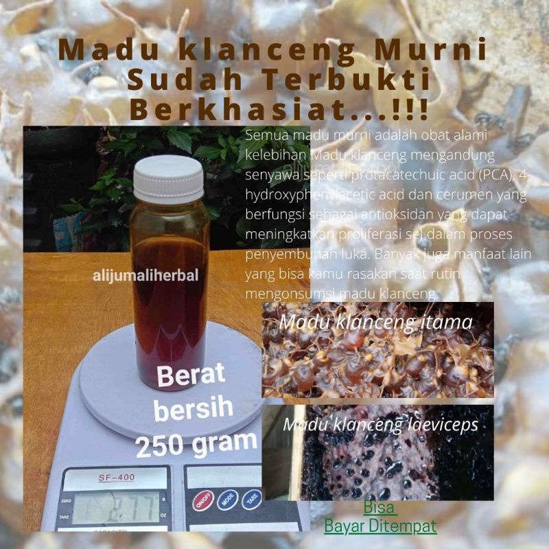 

Madu Asli Murni Klanceng Manis Asem Kecut (250 gram)Untuk Asam urat kolesterol Darah tinggi Perbaikan Organ Gula lambung maag dll