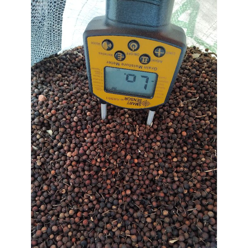 

Kemukus Kering/Cabe Jawa/Mukus 100 gram