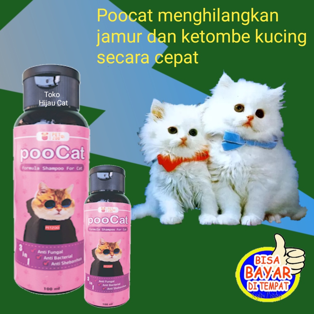 PooCat Shampo Kucing Anti Rontok / Shampoo Kucing Kutu dan Jamur Ampuh