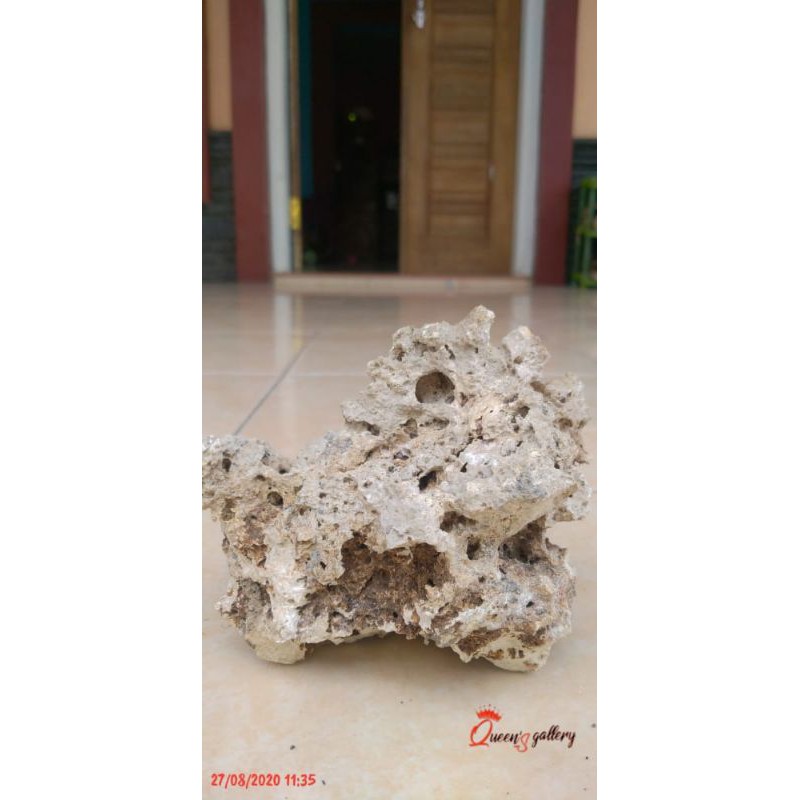 batu karang gunung bonsai untuk mame/aquascape