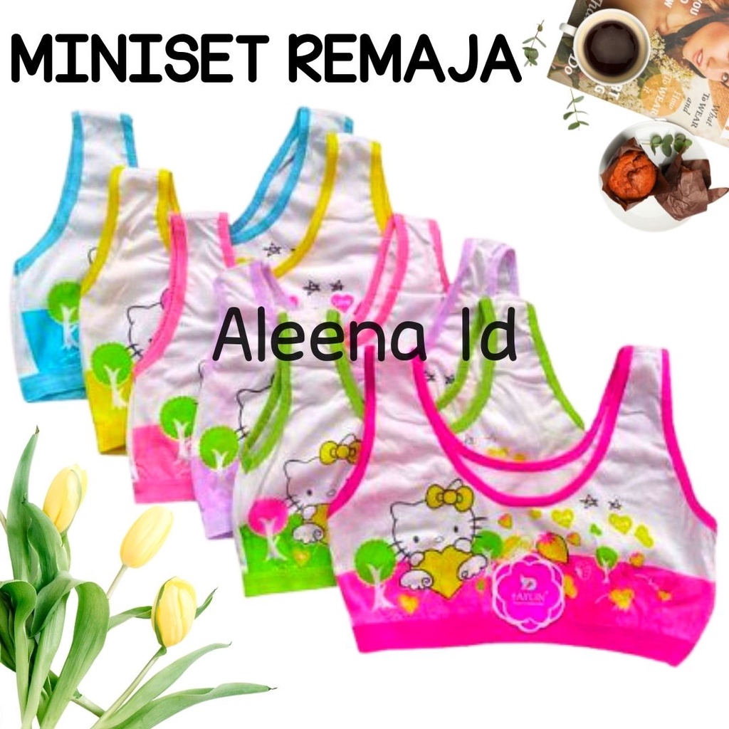 miniset anak ABG, bra motif karakter lucu wanita remaja , pakaian dalam remaja murah grosir wenrou