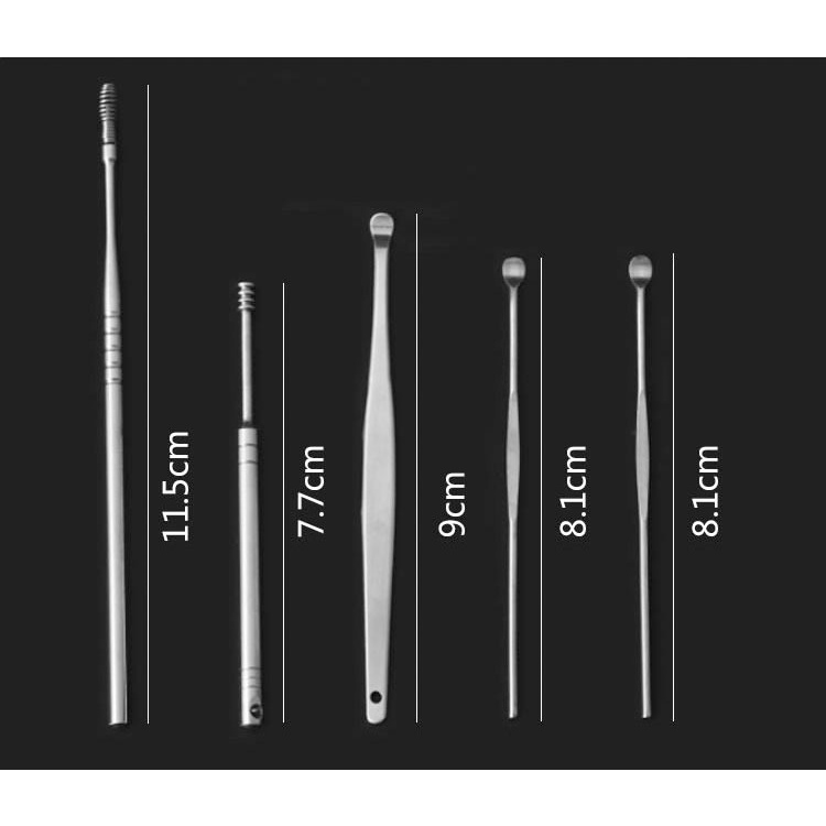 Alat Pembersih Telinga Set 5 In 1 Korek Kuping Stainless Steel Earpick