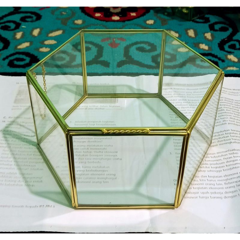 BOX TERARIUM HEXAGONAL 25X25X10