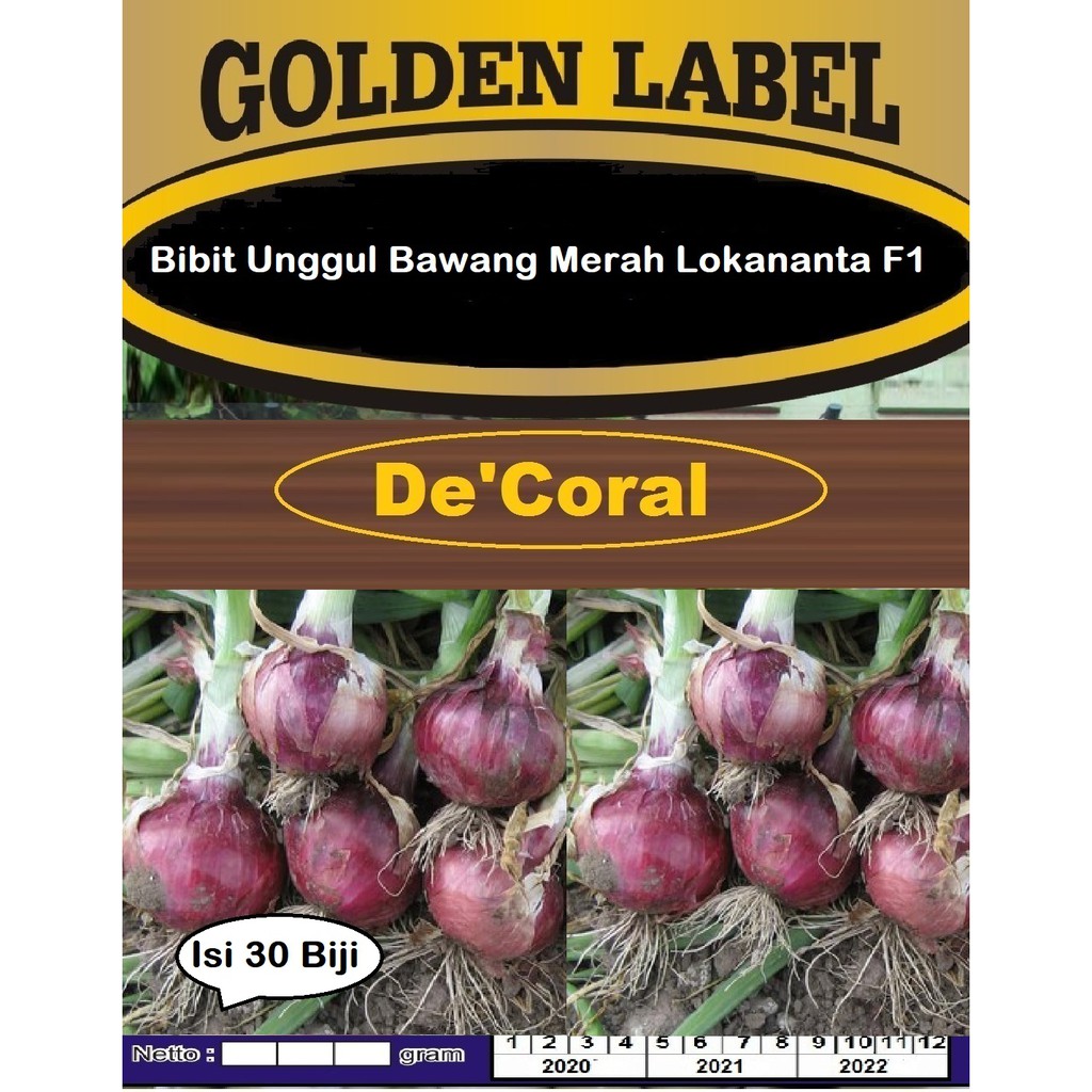 Bibit Unggul Bawang Merah Lokananta F1 | Benih Bawang Merah Lokananta