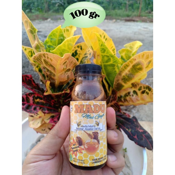 

Madu ASLI MURNI 100% [ MADU Mas Goyol ]