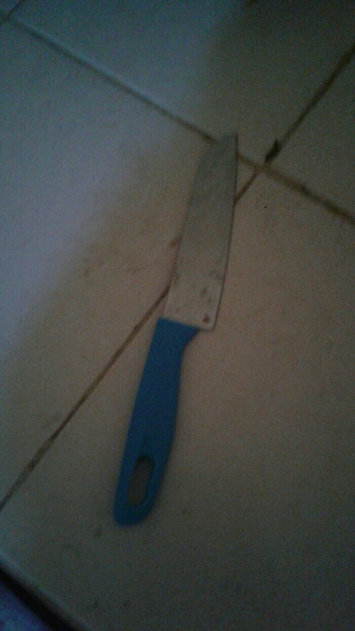 Pisau Buah Cover - Pisau Dapur Cover Stainless Ukuran 23 Cm