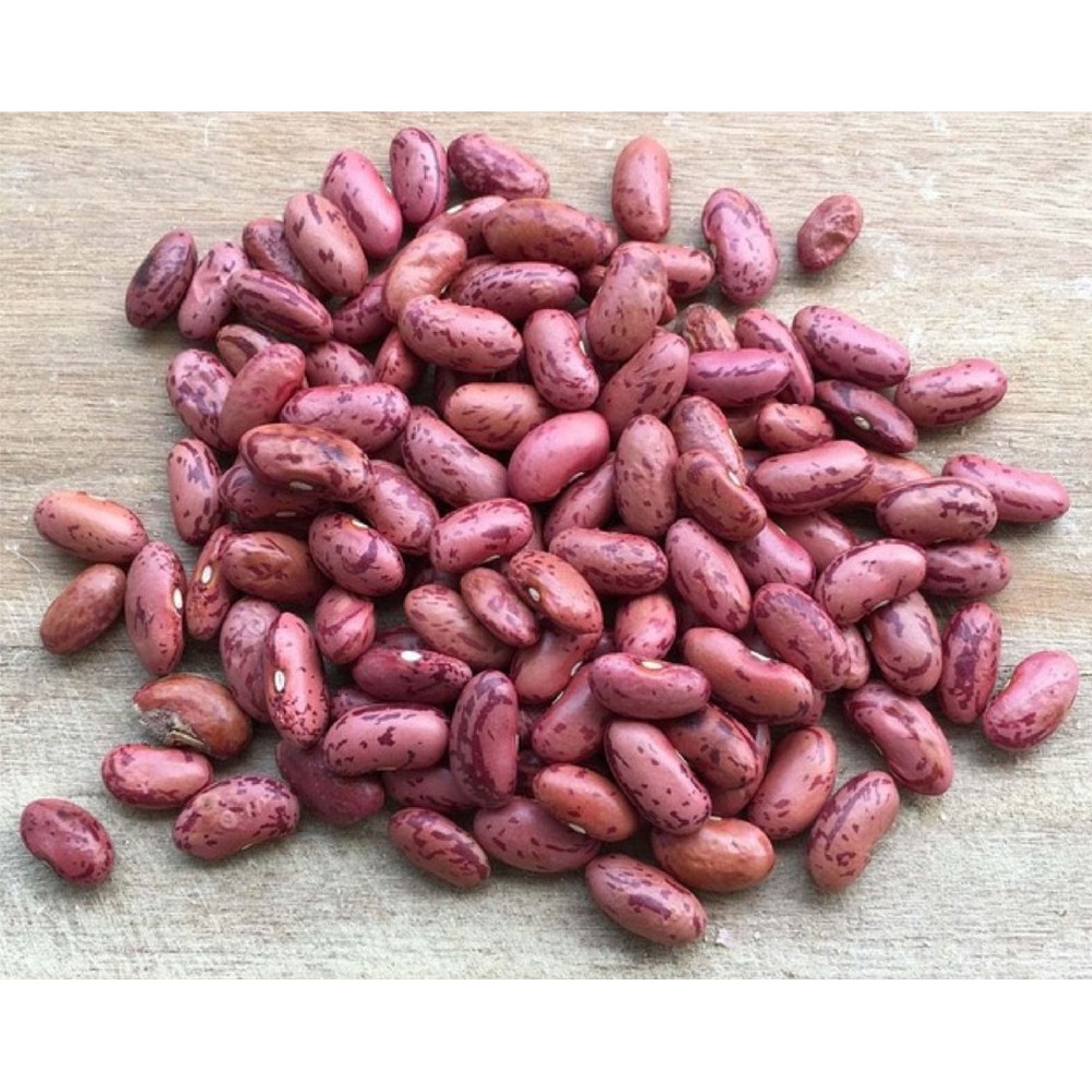 Kacang Merah Sayuran Segar Bandung