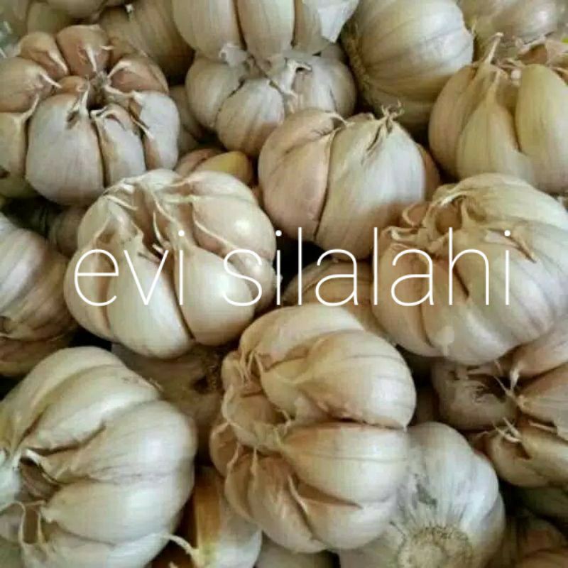

Bawang putih 1KG