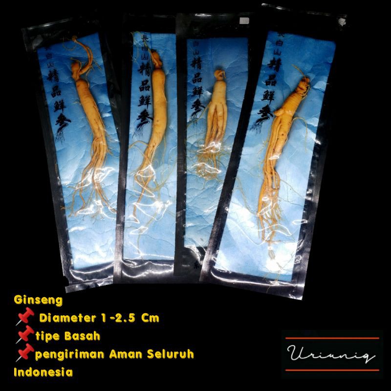 

Ginseng Basah