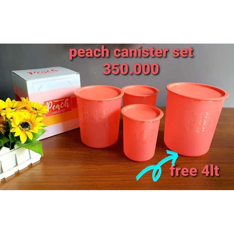 Peach canister set