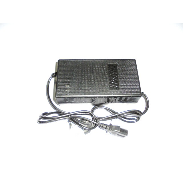 charger 48 volt e-bike