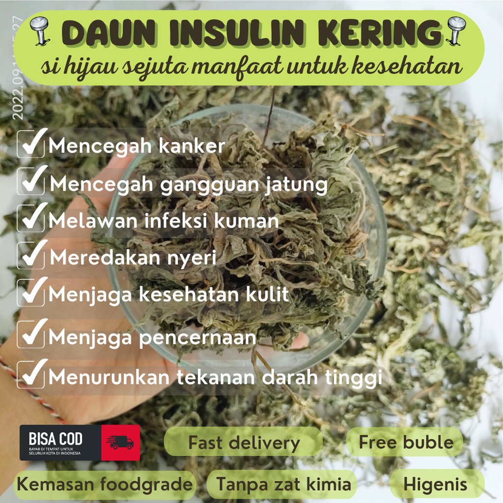 daun insulin obat diabetes