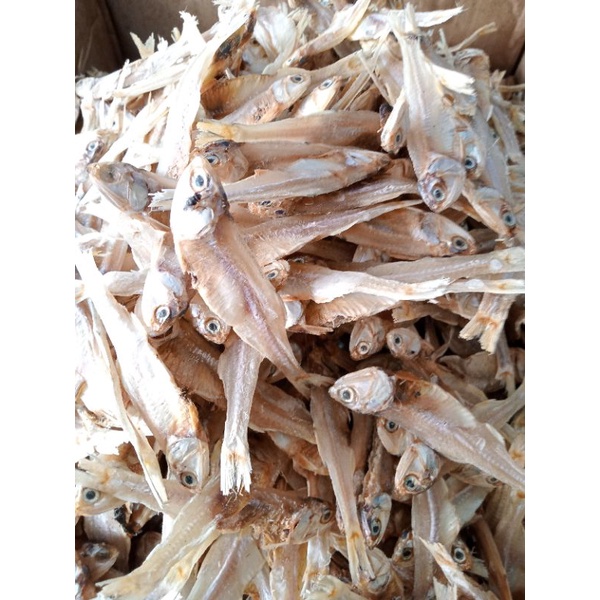 

ikan teri tawar Medan super segar 500gr