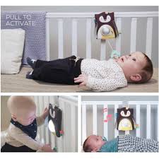 Taf Toys - Prince the Penguin Baby Soother