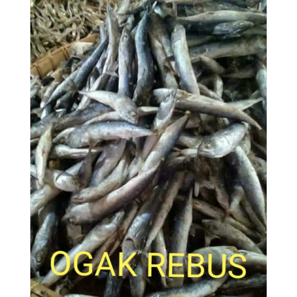 

Ikan Ogak Rebus ( @ 250 Gr )