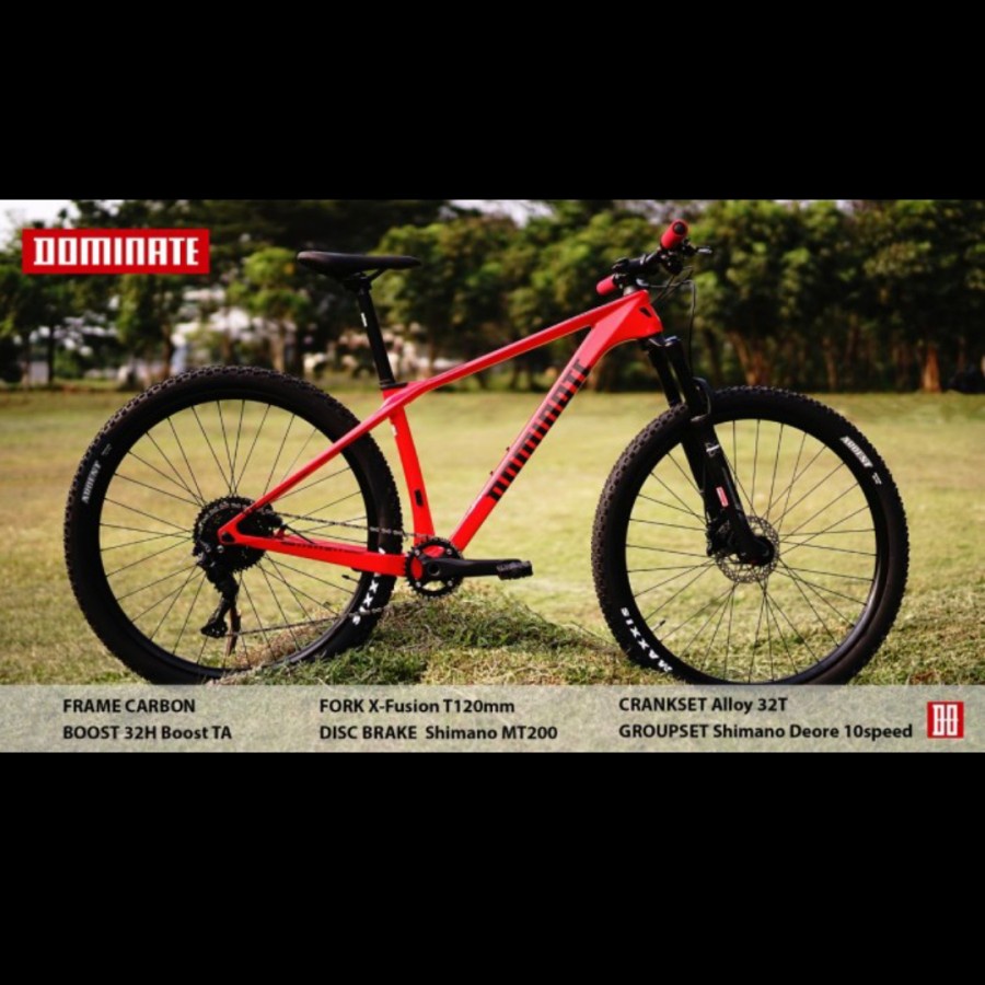 Sepeda Gunung MTB DOMINATE CXC Comp carbon