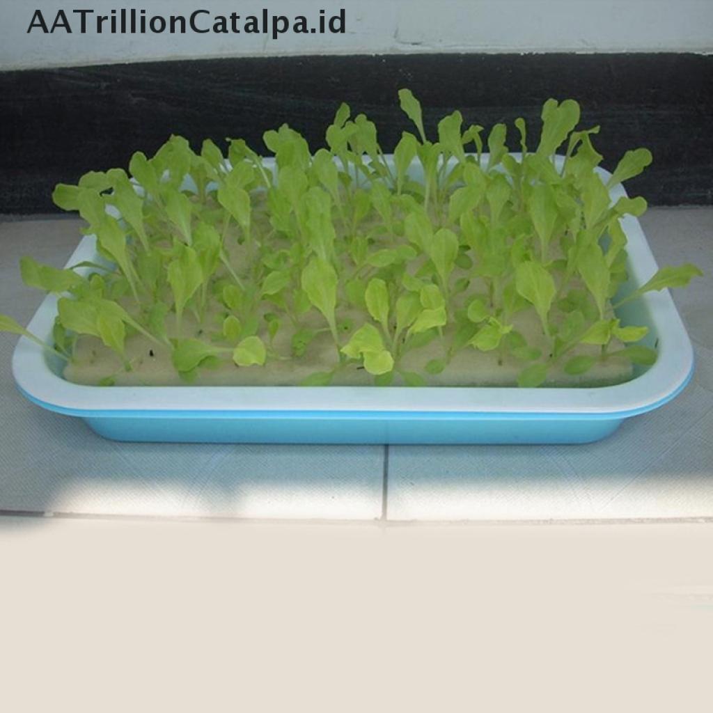 (AATrillionCatalpa) 100pcs / Set Spons Pot Tanaman Hidroponik Tanpa Tanah Untuk Perlengkapan Berkebun