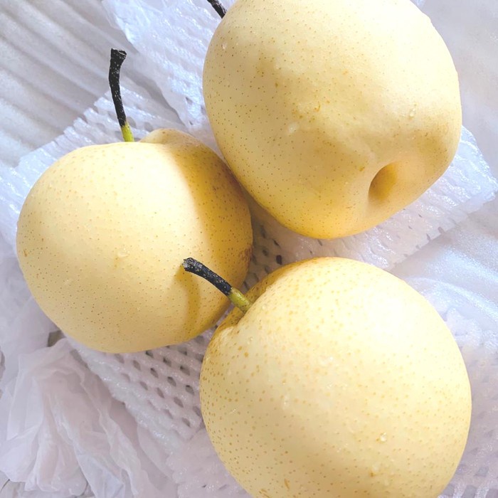 

Pear 1 kg Pasar Buah Segar Bekasi