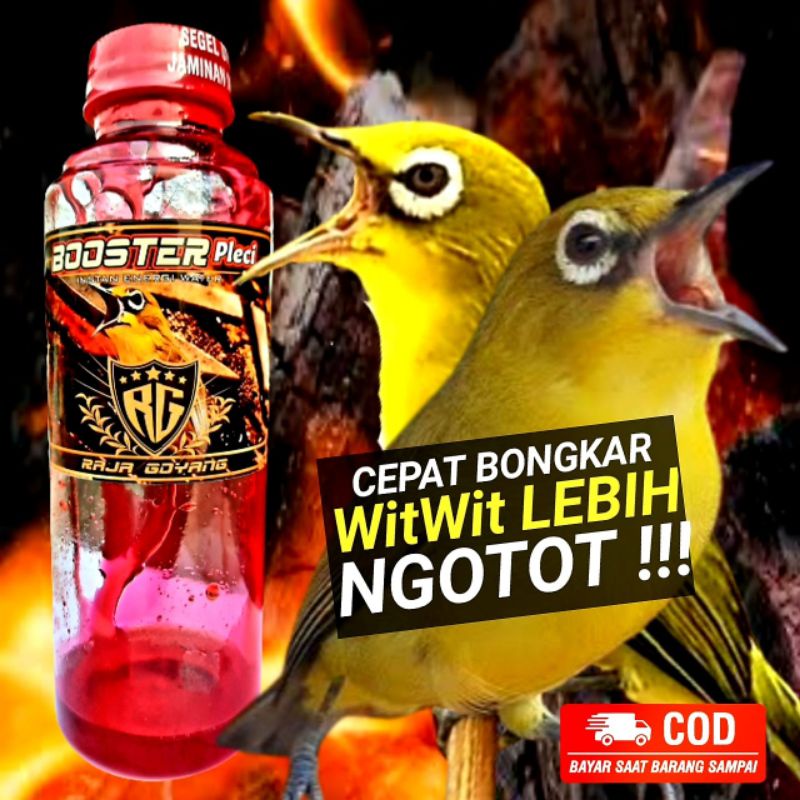 BOOSTER PLECI/ BOOSTER PLECI RAJA GOYANG/DOPING PLECI/VITAMIN PLECI /PENGGACOR BURUNG PLECI/ JAMU BU