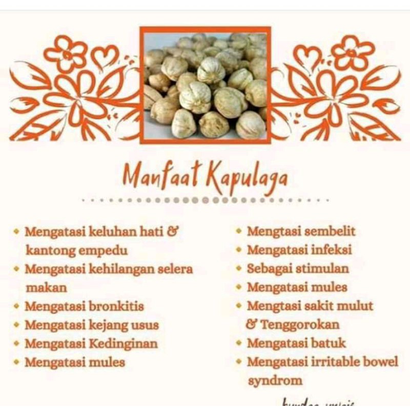 

kapulaga