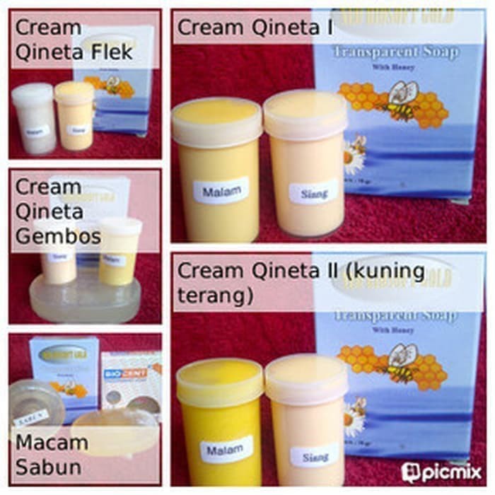 CREAM QINETA BIOSOFT GROSIR