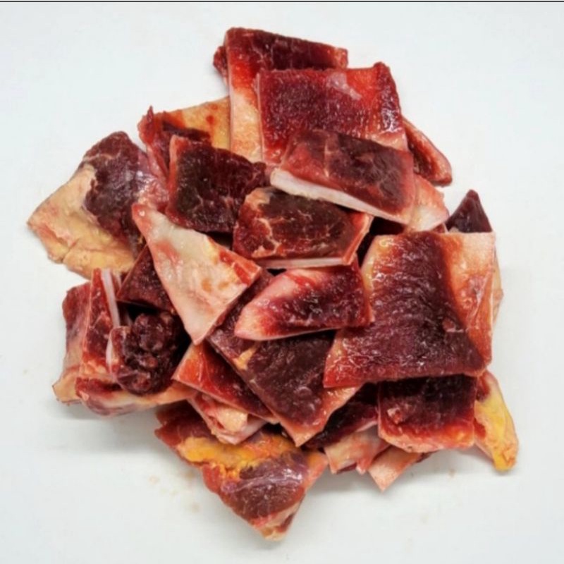 

tulang muda sapi scapular