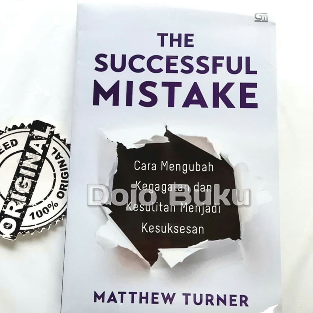 The Successful Mistake by Mathew Turner