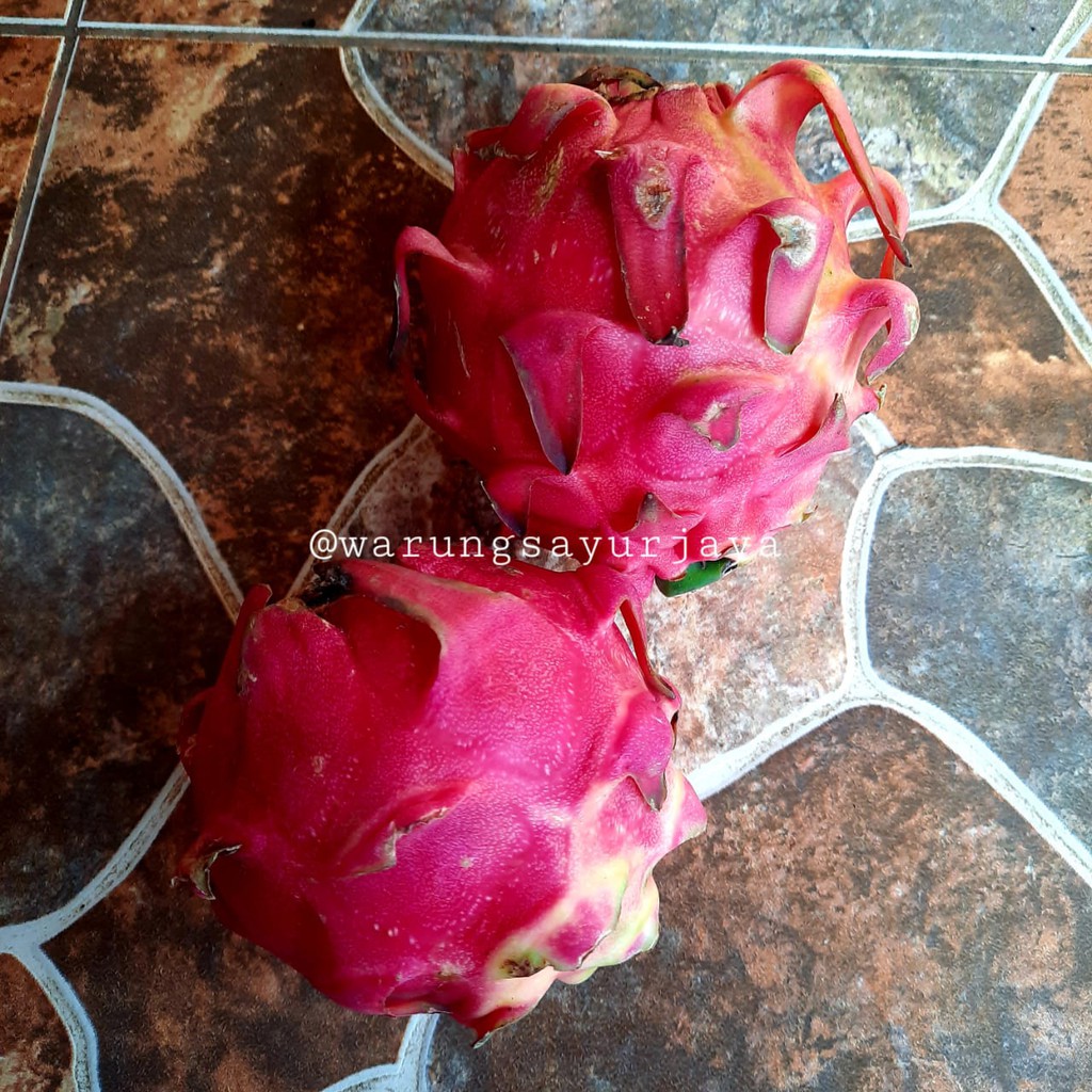 

Buah Naga Merah Manis / kg