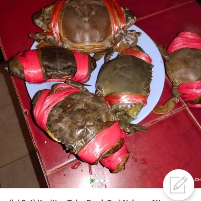 

Isi ( 3-4 ) Kepiting Full Telor 100% Fresh Nelayan