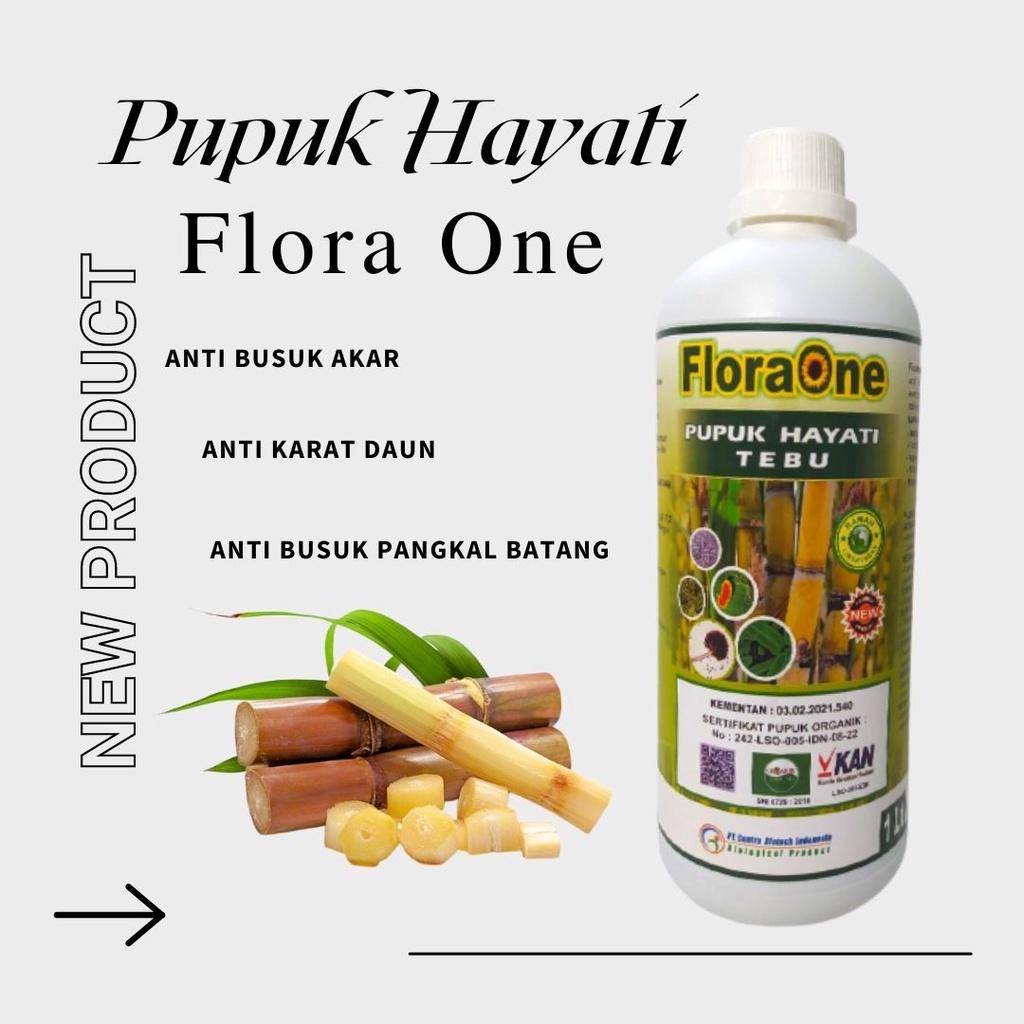 PUPUK FLORAONE UNTUK TEBU 1 LITER, Pupuk Yang Bagus Untuk Tanaman Tebu, Pupuk Cair Untuk Tanaman Teb