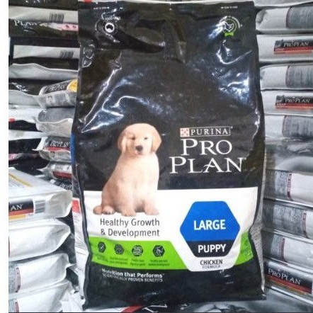 Expedisi Proplan puppy large 15kg/makanan anak anjing proplan