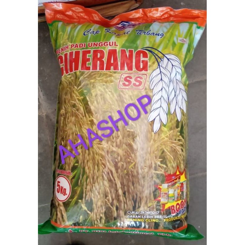 Benih Padi CIHERANG 5KG KAPAL TERBANG / PP KERJA / JANGER
