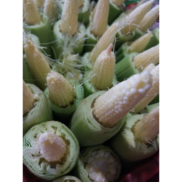 

Jagung Muda 250gr