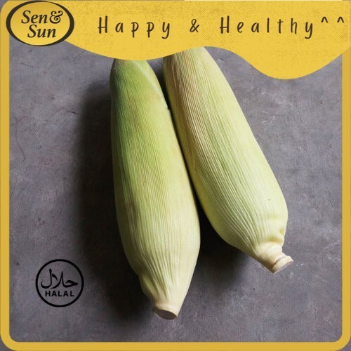 

Sen&Sun Jagung Manis Kulit Conventional 1 kg