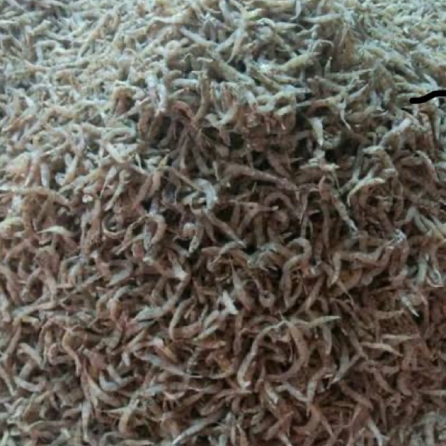 

Ikan Seribu/Ikan Penja