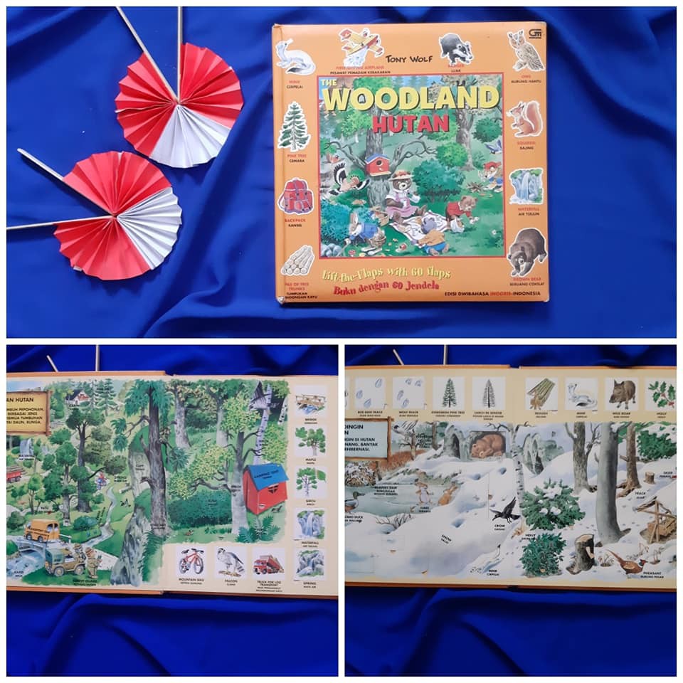 The Woodland Hutan Lift the flaps Buku Anak bekas second preloved
