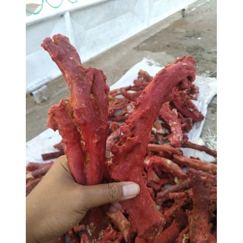 Rough bahan red coral batu koral marjan grade super kemasan 500 gram