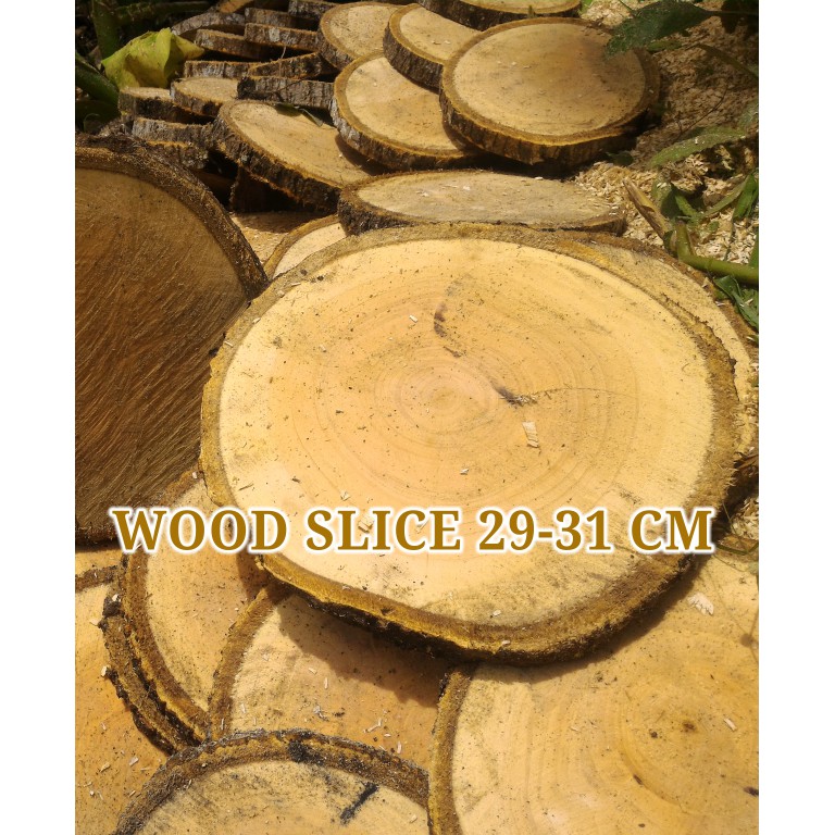 Wood slice 29-31 cm potongan log kayu hiasan dinding dll craft dekor