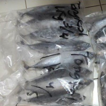 

Ikan Tongkol Deho 500 gram