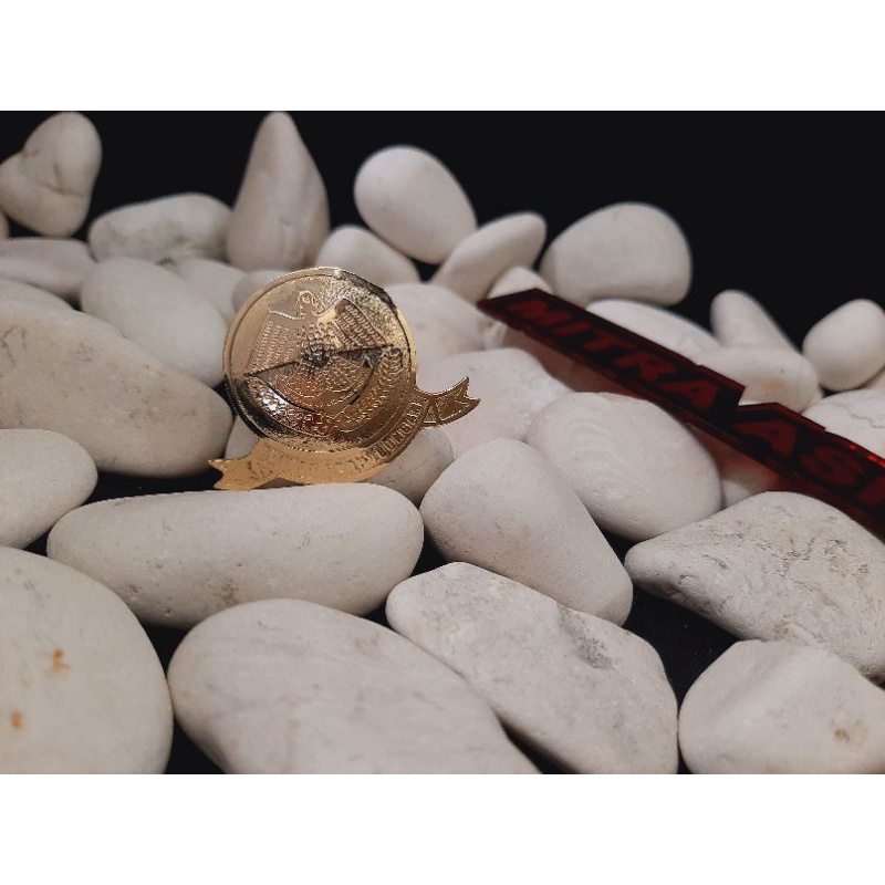 Pin Dinas Perhubungan