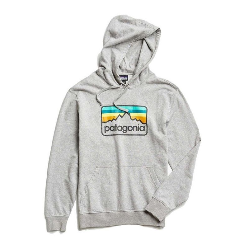 Hoodie Patagonia original