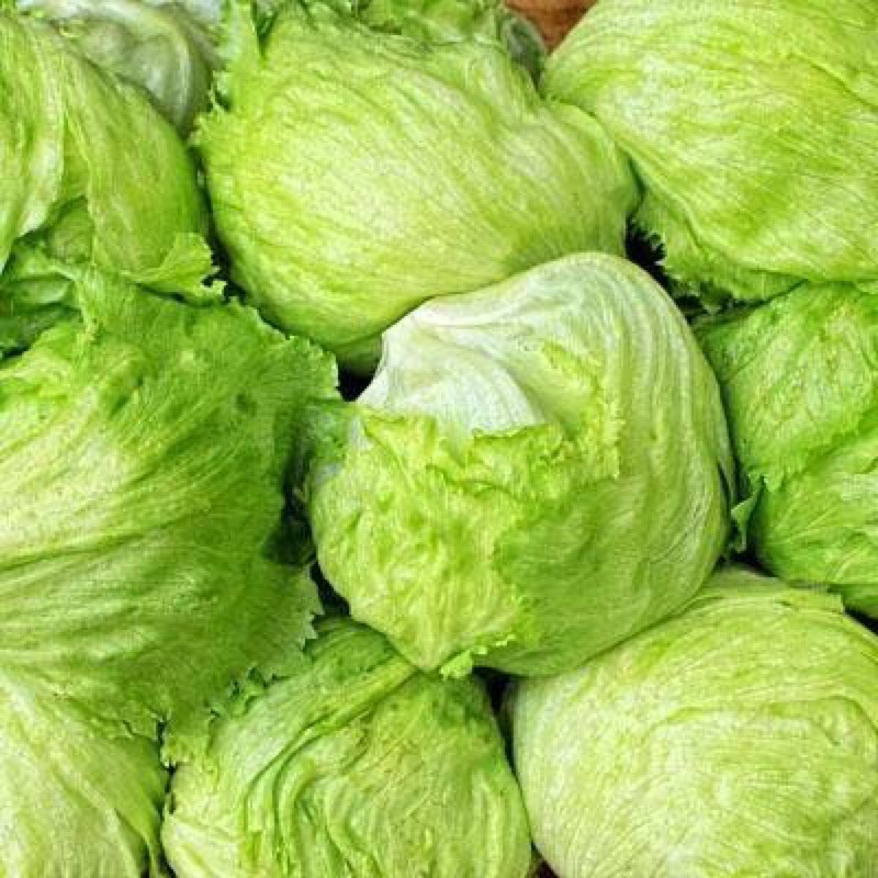

Lettuce Head / letus 1 kg