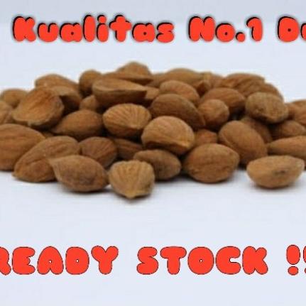 

apricot kernel seed / biji aprikot organik dari himalaya