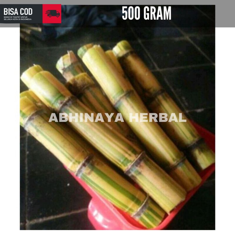 

TEBU KUNING SEGAR - TEBU KUNING MANIS 500 gram