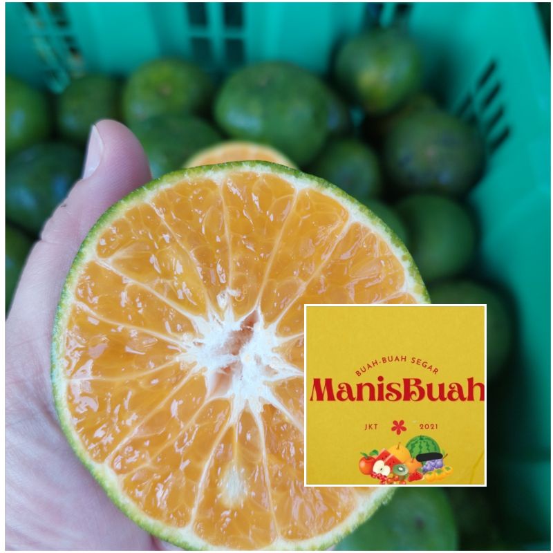 

jeruk pontianak buah fresh per keranjang