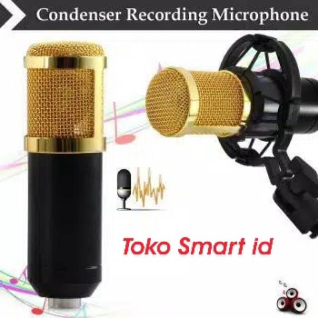 Mic bm 800 live streaming