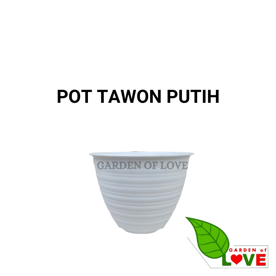 POT MADU 20 PUTIH/ POT TAWON 20/POT GOCCIE 20/POT HPP 20/ POT TAWON 18CM POT TAWON 10 12 15 13 20 21