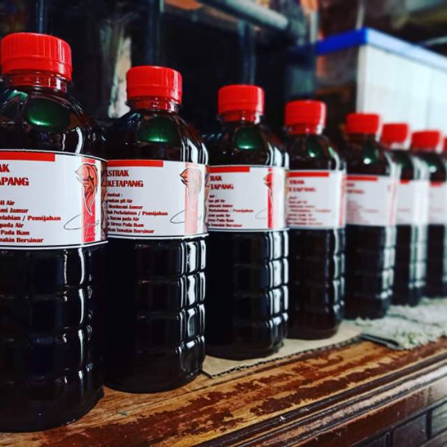 

Ekstrak Daun Ketapang 500ml